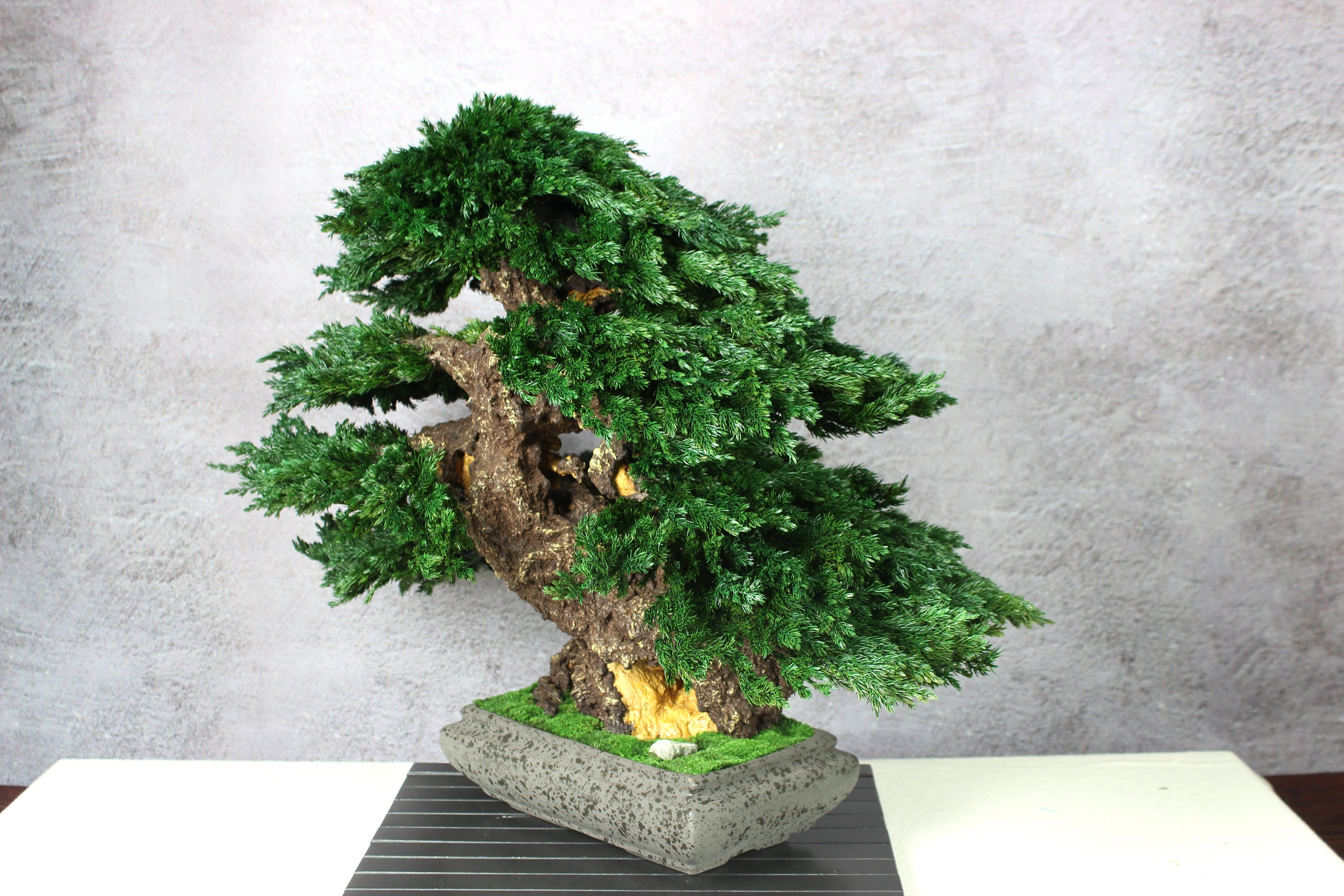 Bonsai Tree. Made From Preserved Juniper on a Handmade Etsy