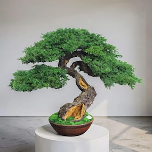 May include: A bonsai tree with a curved trunk and vibrant green foliage. The tree is planted in a brown ceramic pot filled with green moss. The trunk has exposed areas of yellow and brown. The bonsai is displayed on a white pedestal.