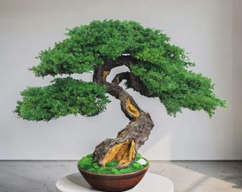 Bonsái decorativo de 37 cm – Árbol artesanal para espacios modernos