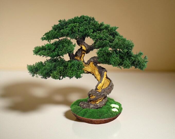 Preserved Bonsai Tree - Indoor Home Decor, 15,35" (39 cm).