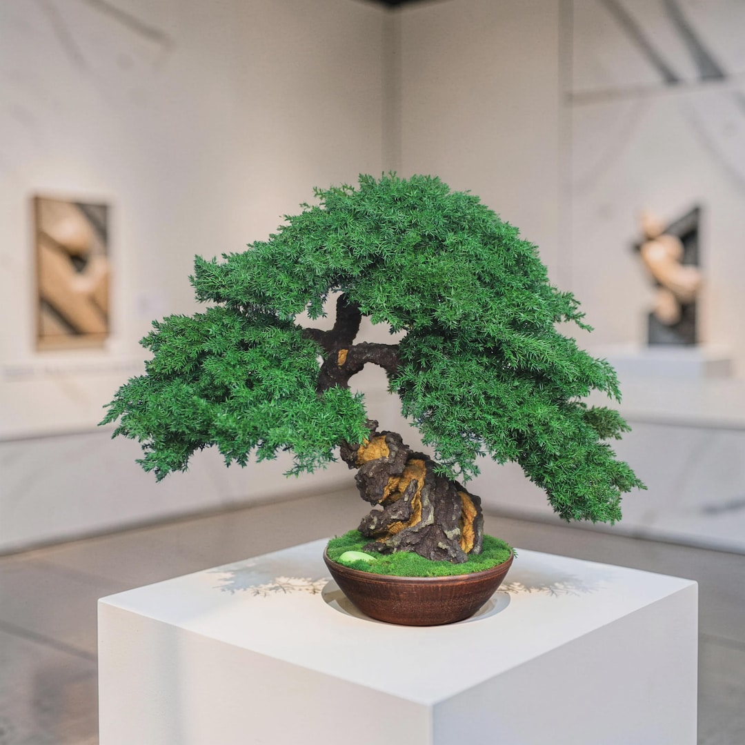 made in japan bonsaiユウナ模様木 Asahi Series, Preserved Juniper Bonsai Tree 15