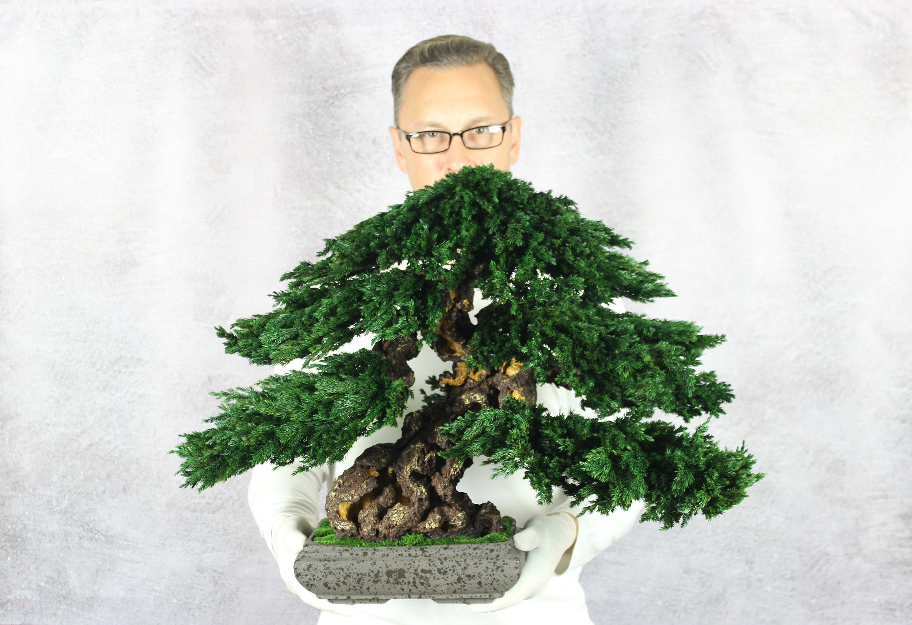 Bonsai Tree. Made From Preserved Juniper on a Handmade Etsy