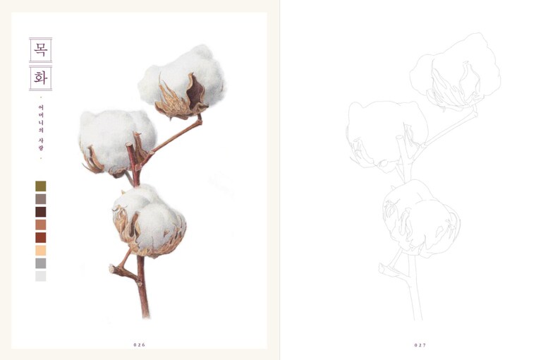 Op de afbeelding: Een lijntekening van een katoenplant met drie katoenbollen. De tekening bevindt zich aan de rechterkant van de pagina. De linkerkant van de pagina toont een kleurenpalet en het Koreaanse woord "Mook Hwa", wat "katoenbloem" betekent.