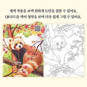 May include: A coloring page featuring a red panda sitting in a tree with autumn leaves. The red panda is holding a leaf in its mouth. The page is divided into two sections, one with a colored image of the red panda and the other with a black and white outline of the red panda. The text "단풍 레서판다" is visible in the top left corner of the image.