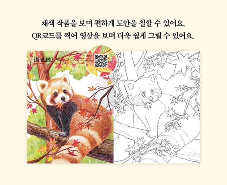 May include: A coloring page featuring a red panda sitting in a tree with autumn leaves. The red panda is holding a leaf in its mouth. The page is divided into two sections, one with a colored image of the red panda and the other with a black and white outline of the red panda. The text "단풍 레서판다" is visible in the top left corner of the image.