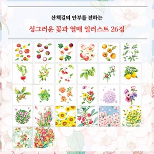 K&ouml;nnte beinhalten: Ein Set mit 26 Aquarell-Illustrationen verschiedener Blumen und Fr&uuml;chte. Die Illustrationen sind in einem Raster auf wei&szlig;em Hintergrund angeordnet. Der Text "산책길의 아름다움을 전하는 신그러운 꽃과 열매 일러스트 26종" ist in Koreanisch oben im Bild geschrieben.