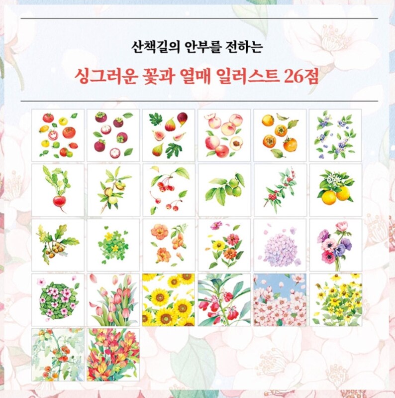 K&ouml;nnte beinhalten: Ein Set mit 26 Aquarell-Illustrationen verschiedener Blumen und Fr&uuml;chte. Die Illustrationen sind in einem Raster auf wei&szlig;em Hintergrund angeordnet. Der Text "산책길의 아름다움을 전하는 신그러운 꽃과 열매 일러스트 26종" ist in Koreanisch oben im Bild geschrieben.