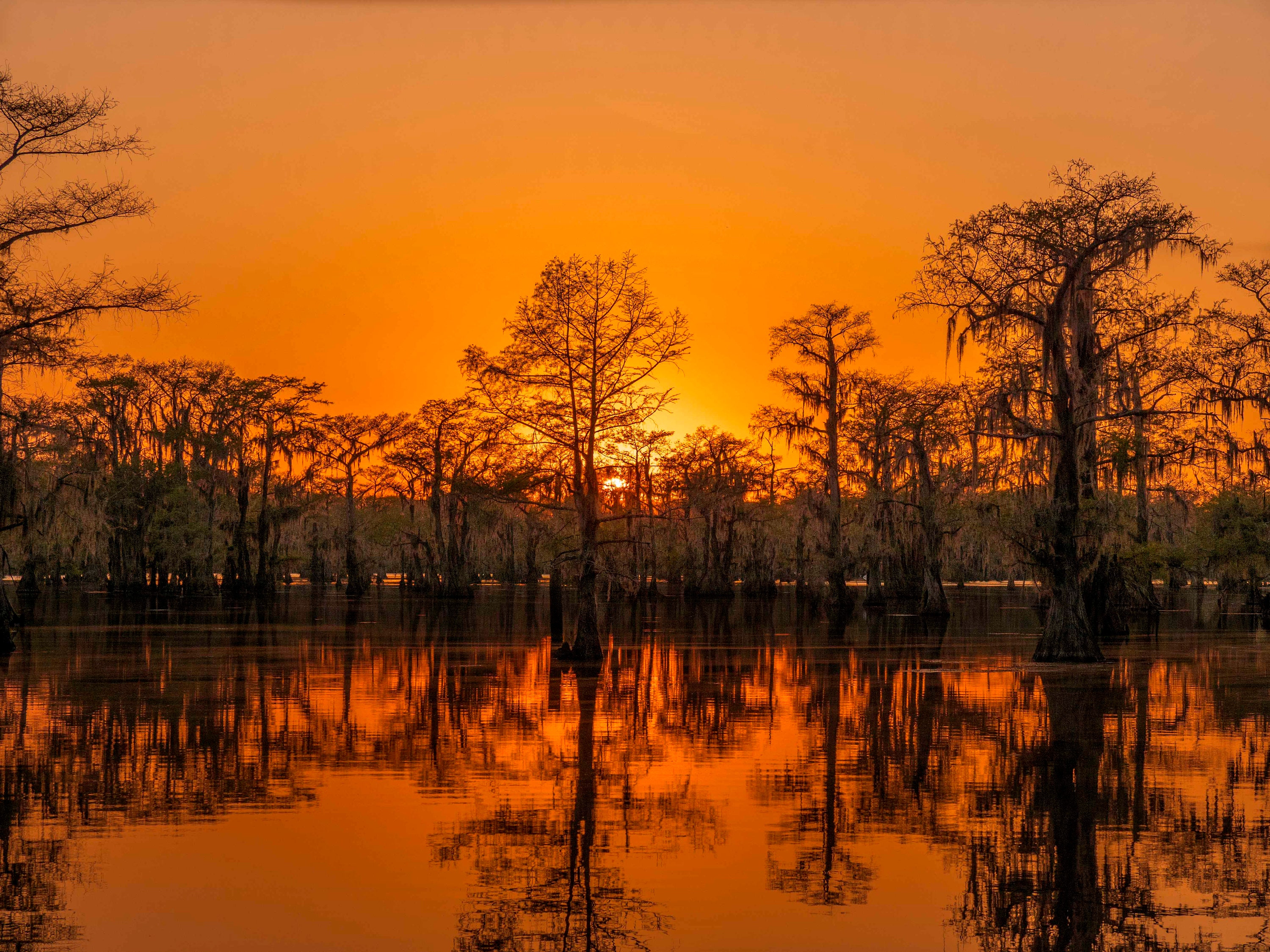 Caddo Lake Texas Louisiana Sunset Reflection Trees Etsy