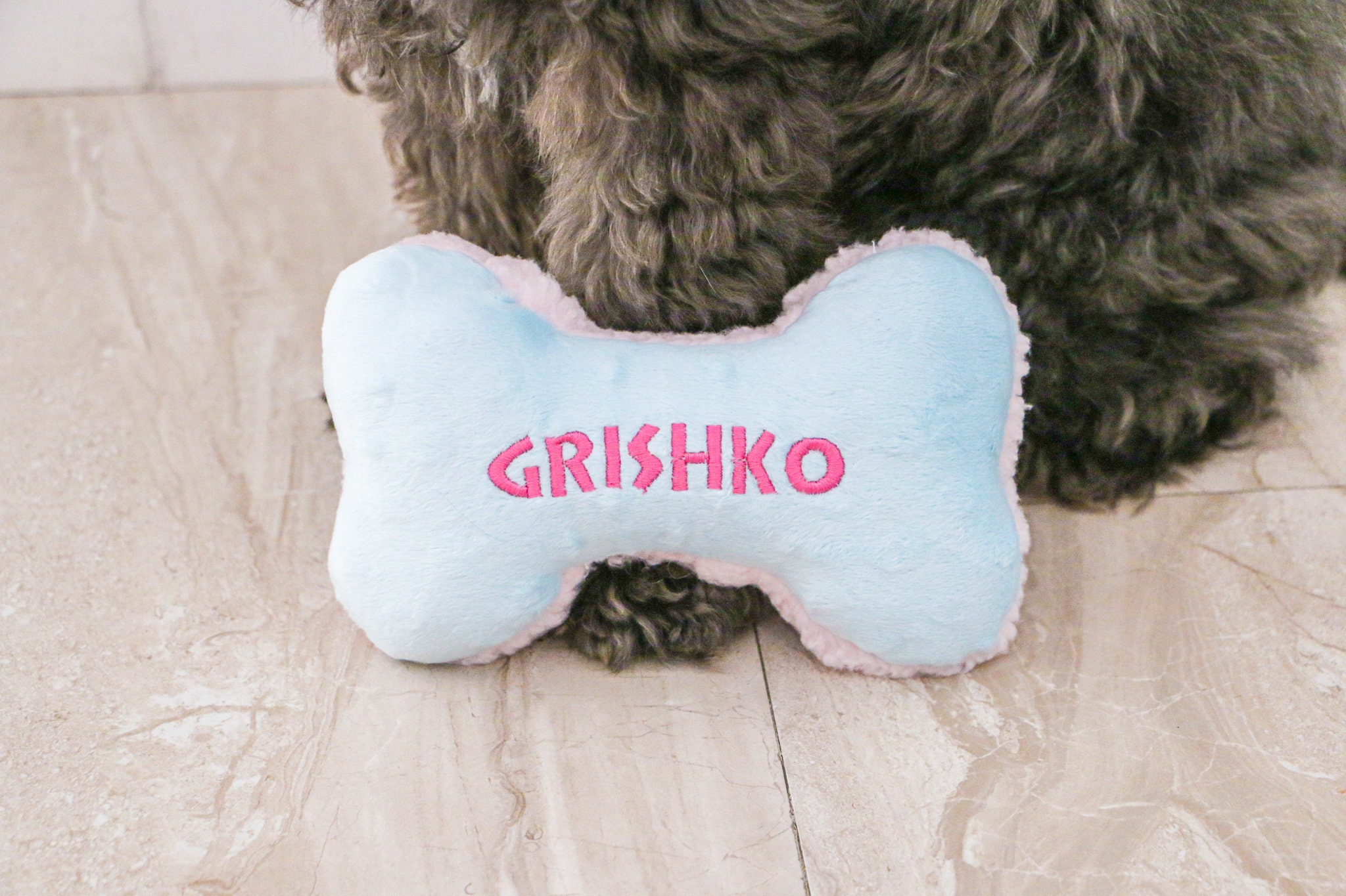 Money Custom Dog Toy - Personalized Squeaky Toy