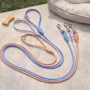 Op de afbeelding: Drie veelkleurige hondenriemen in blauw, lavendel en perzik. Elke riem heeft een bijpassende handgreep en een zilverkleurige sluiting. Een hondenkoekje is linksboven zichtbaar. De riemen liggen op een lichtgekleurd oppervlak.
