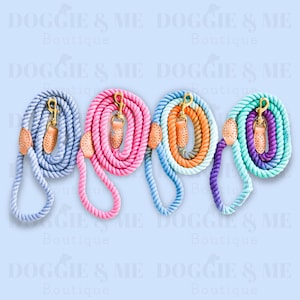 Braided Pet Leash, Cute Pet Leash, Pet Leash, Ombre Rope Dog Leash, Rope Pet Leash, Leather Pet Leash, 5ft Pet Leash, Dog Leash
