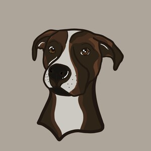 Household Pet Coloring Pages