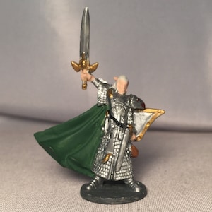 Elf Paladin Painted DnD Miniature/Elf Fighter Hand Painted Mini/Elf Ranger Painted Miniature/Human Paladin/Elf Fighter/Half Elf Fighter