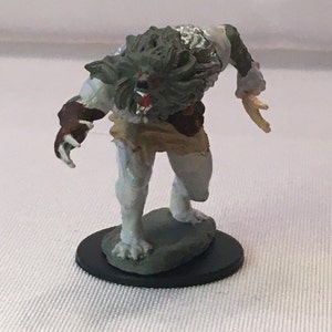 Loup-garou peint DnD Miniature / Shifter Fighter Peint Mini / Lycanthrope Peint Miniature / Changement de forme