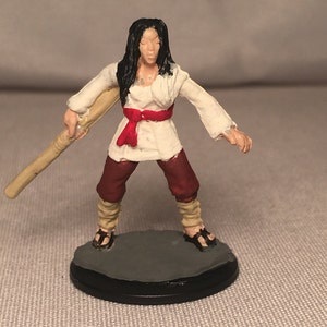 Female Human Monk Painted DnD Miniature/Female Half Elf Monk Hand Painted Mini/Human Rogue Painted Miniature/Half Elf Rogue