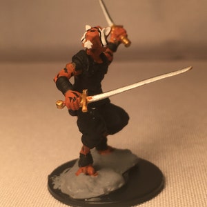 tabaxi rogue