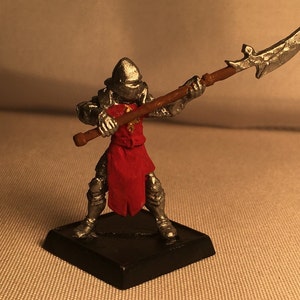 Human Glaive Painted DnD Miniature/Human Fighter Hand Painted D&D Mini/Metal/Pewter/Half Elf Glaive/Half Elf Fighter/Human Paladin