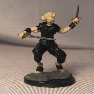 Tabaxi Rogue Painted DnD Miniature/Tabaxi Fighter Hand Painted D&D Mini/Tabaxi Ranger Mini/ Tabaxi Cleric/Tabaxi Barbarian