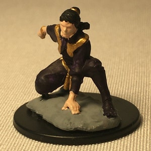 Female Human Monk Painted DnD Miniature/Female Half Elf Monk Hand Painted Mini/Human Rogue Painted Miniature/Half Elf Rogue
