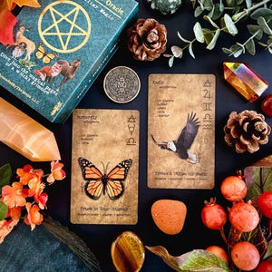 May include: A teal oracle card box with gold lettering and a pentagram design, accompanied by two oracle cards featuring a butterfly and an eagle. The image includes crystals, pinecones, and other decorative elements.