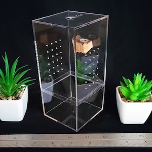 Standard Invertebrate Enclosure & Dish