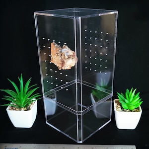 XL Invertebrate Enclosure & Dish