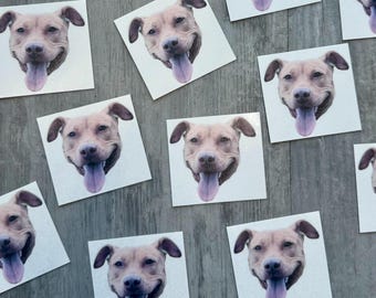 Custom pet face temporary tattoo, photo temporary tattoo, birthday party favors, custom party favors, Pet tattoo, pet birthday