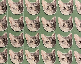 Konfetti Haustier, Haustier Dekoration, Hundedekoration, Katzen Dekoration, Haustier Geburtstag Dekoration, Hunde Geburtstag Dekoration, 2,5 cm