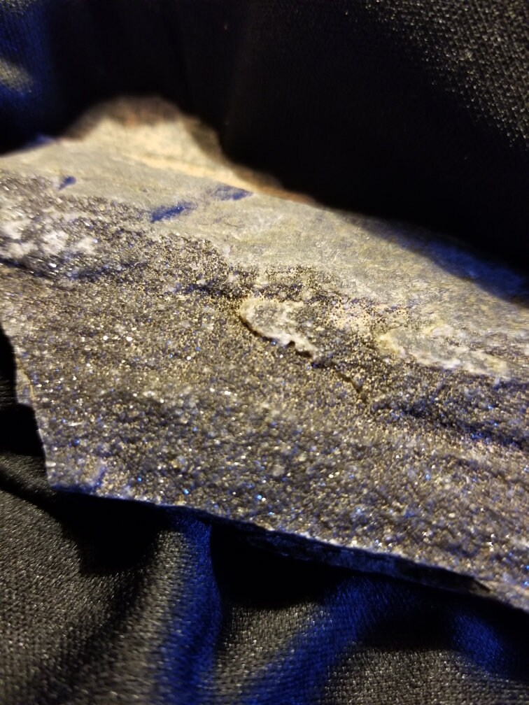 Rare Black Petrified Wood with Crystals Etsy