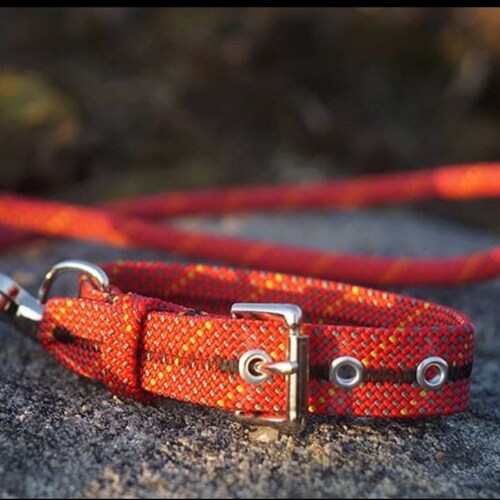 Scavenger Climbing Rope Dog Collar Handmade From Retired Etsy UK