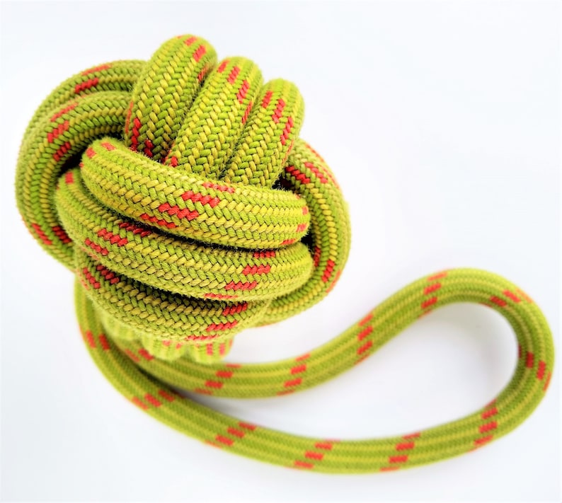 Scavenger Climbers Dog Toy Handmade From Retired Climbing Etsy