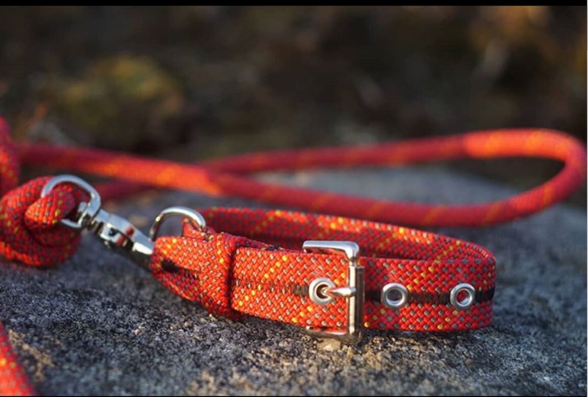 Fire gear dog collar cheap