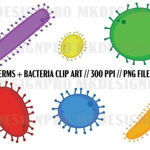 May include: Clip art set of six different colored bacteria and germs. The germs are purple, yellow, green, red, blue, and orange. Each germ has a spiky outline.