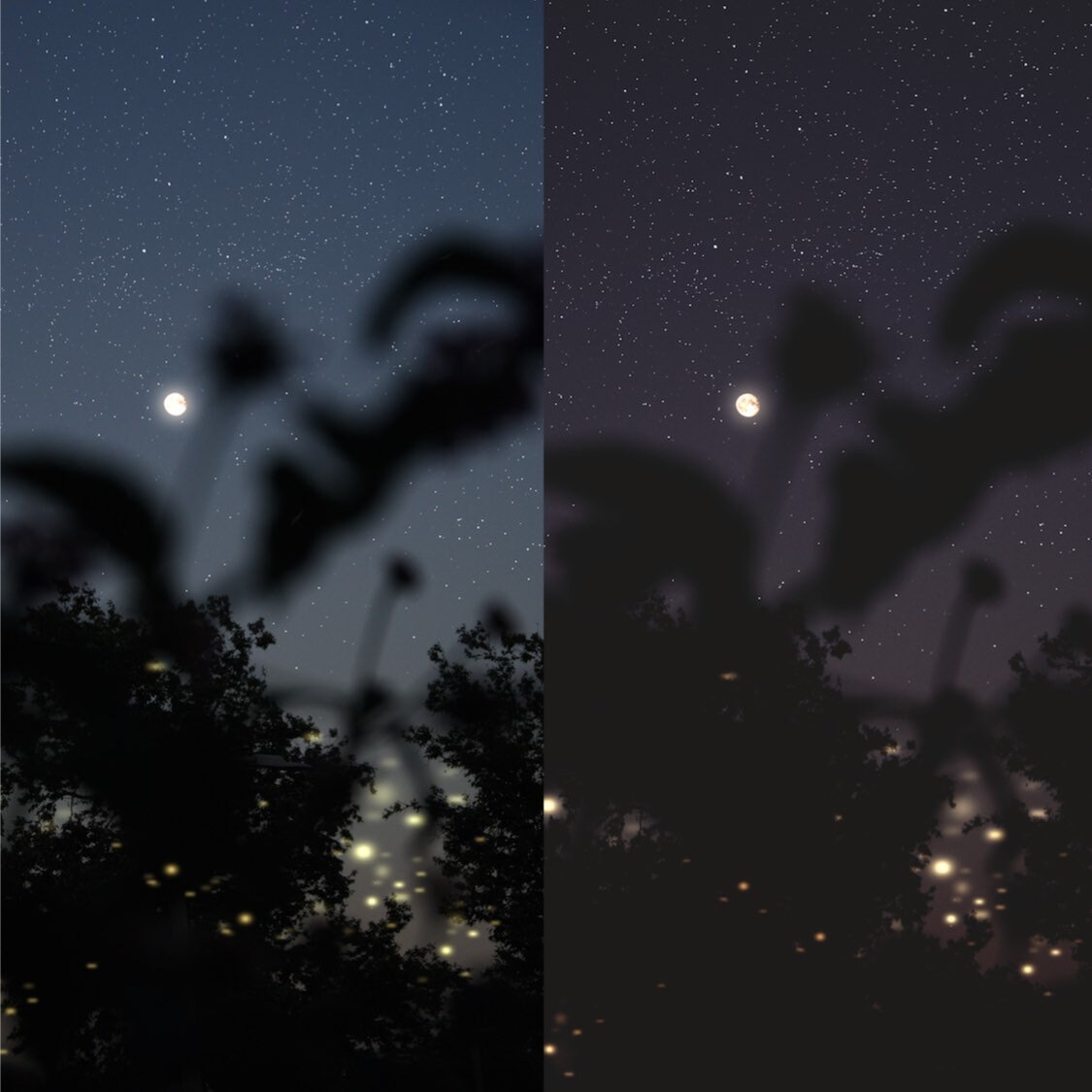30+ Adobe Lightroom Sunset Presets