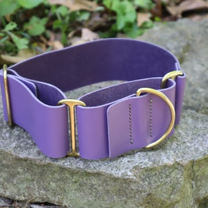 Toughest Leather Martingale Collar- Purple Esquire and Brass