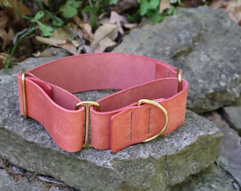 May include: A wide, coral-colored leather dog collar with brass hardware. The collar features a D-ring and an adjustable buckle. The collar is sitting on a gray rock, with a natural background of leaves and foliage.