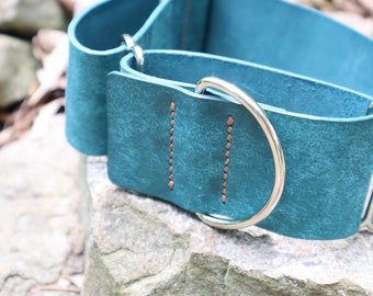 Martingale Dog Collar--Teal