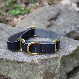 3/4-Inch Wide Leather Martingale Dog Collar- Black and Brass