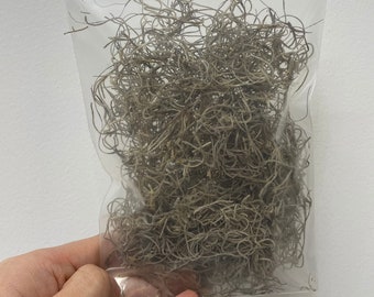 Pack of Dried Spanish Moss, Great for Home Decor