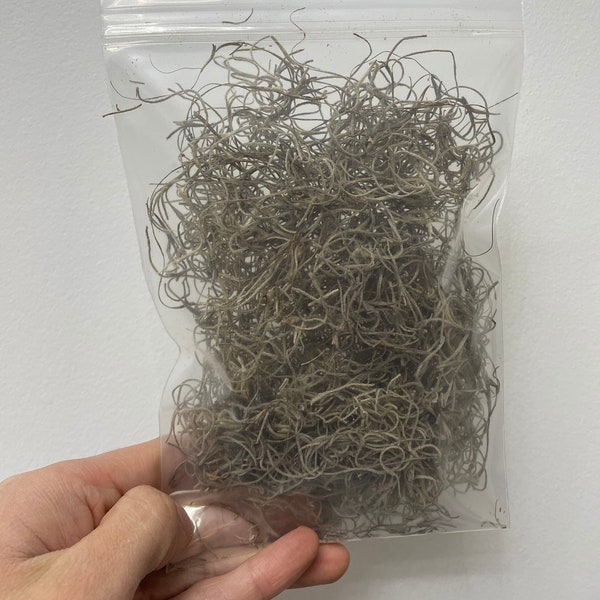 Pack of Dried Spanish Moss, Great for Home Decor