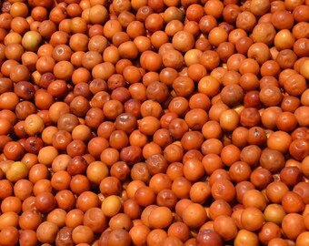 Indian Jujube Etsy Indian Jujube Etsy