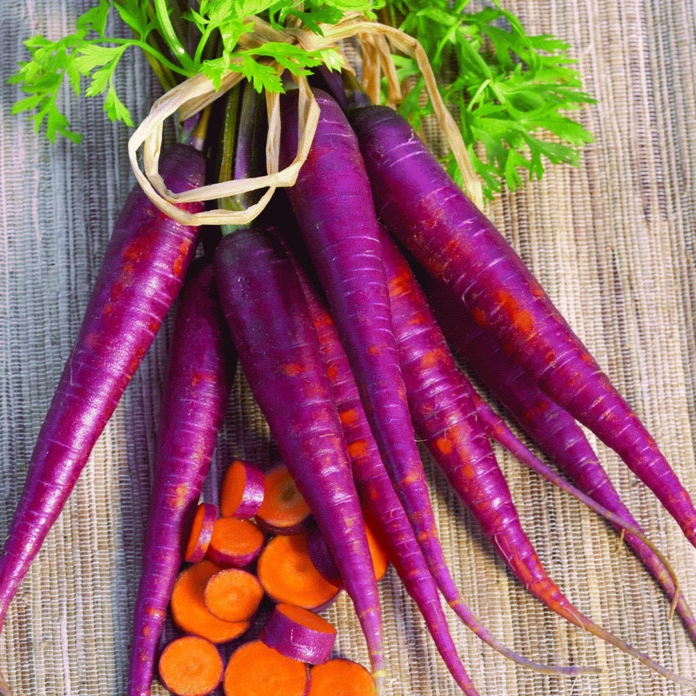 Healthy Purple Carrot 20 Plant Seeds Etsy
