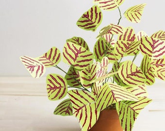 Exotisch gestreepte vlindervleugel 8 zaden