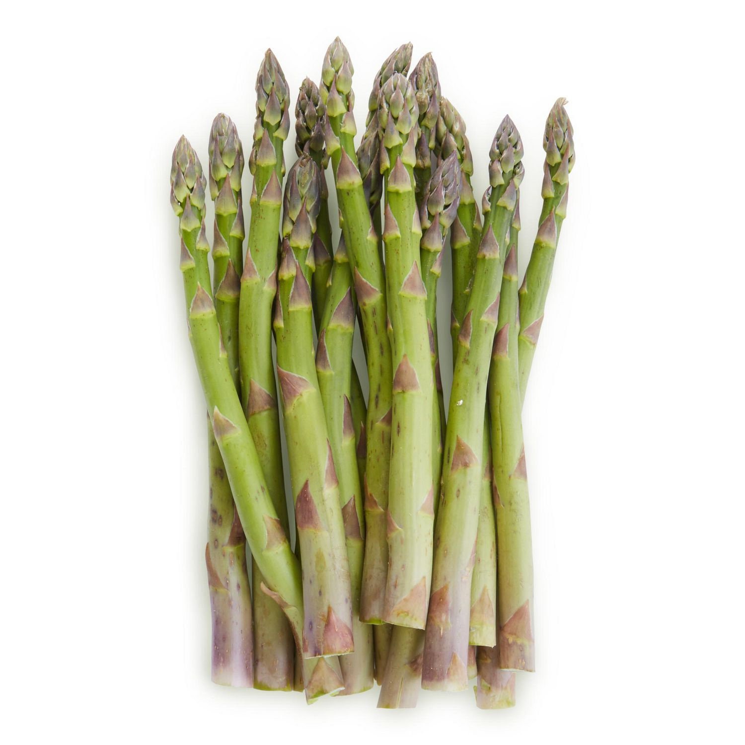 Healthy Green Asparagus 10 Plant Seeds Etsy