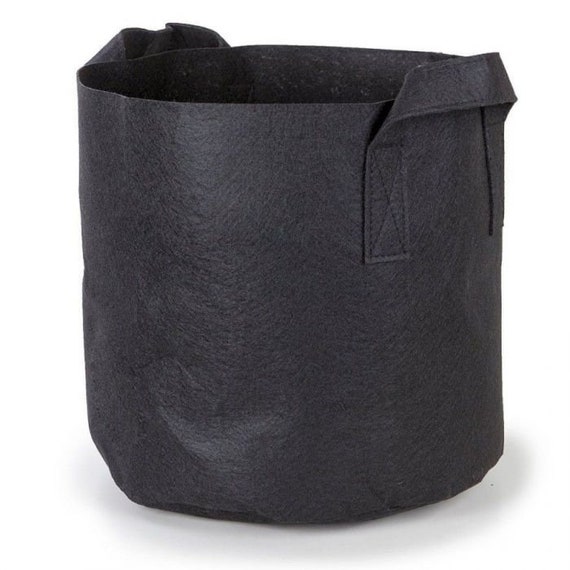 2 Pack Fabric Pots 1 Gallon for Growing Plants - Etsy