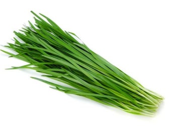 Garlic Chives 0.1 Gram of Seeds