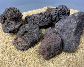 Porous Lava Rock For Terrarium Decor 2-3 CM Size 10 pcs