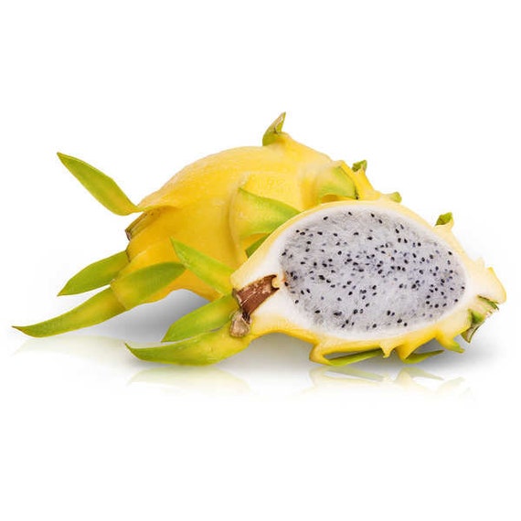 Yellow Dragon Fruit - 2ct