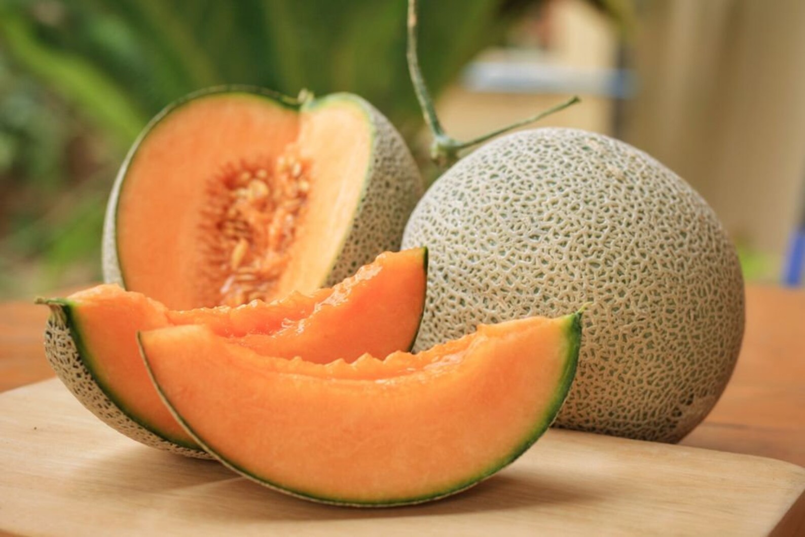 Muskmelon Fruit 10 Seeds Etsy