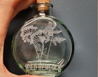 Hemlock Etched Glass Apothecary Bottle 5.7 oz Wild Hemlock Poison